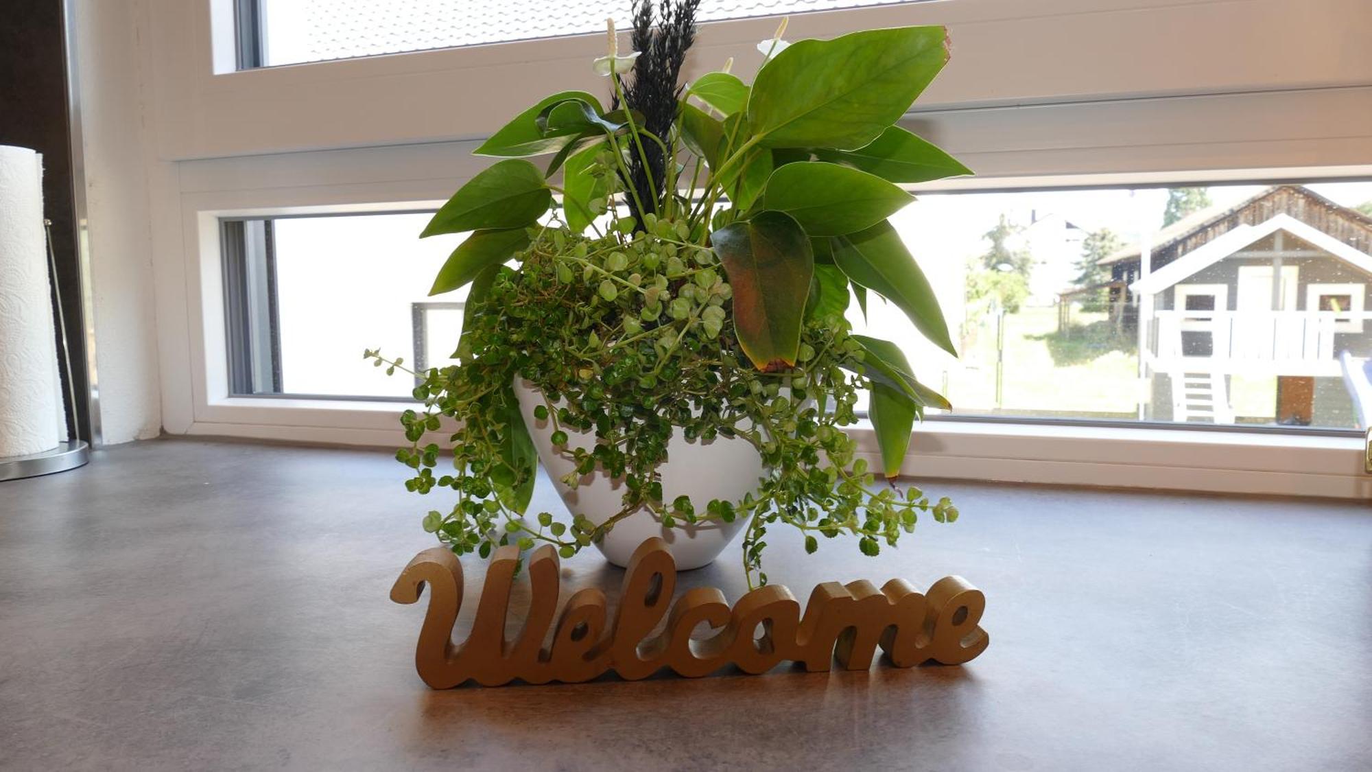 Homestay Luxury Weingarten *